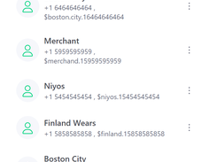 Paywint Screenshot 1