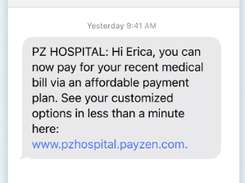 PayZen Screenshot 1