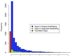 Gap-Size Histogram showing original assembly before after applying Jelly using PacBio Reads