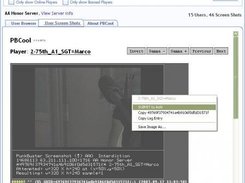 Submit Screen Shot