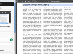 PDF Viewer / Reader