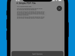 PDFs Split & Merge Screenshot 1