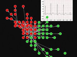 PDPBioGen  Screenshot 3