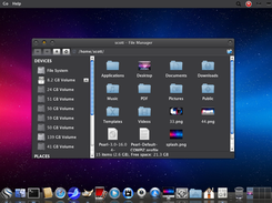 Pearl Linux 3.0 16.04 DEV Screenshot 3