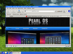 Pearl Linux OS 4.0 Screenshot 6