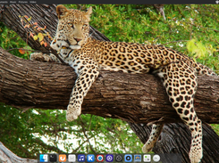Pearl Pro 9 Screenshot 4