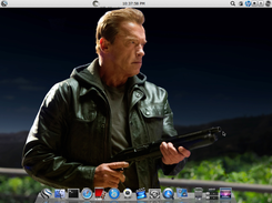 Pearl Linux (first release) Screenshot 6