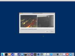 Windows Windows