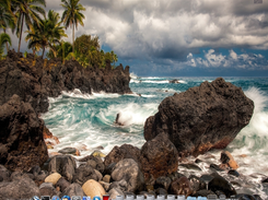 Pearl Linux Surf Screenshot 3