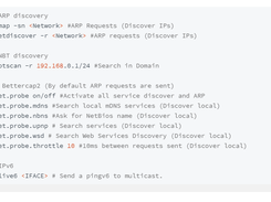 PEASS-ng Screenshot 1