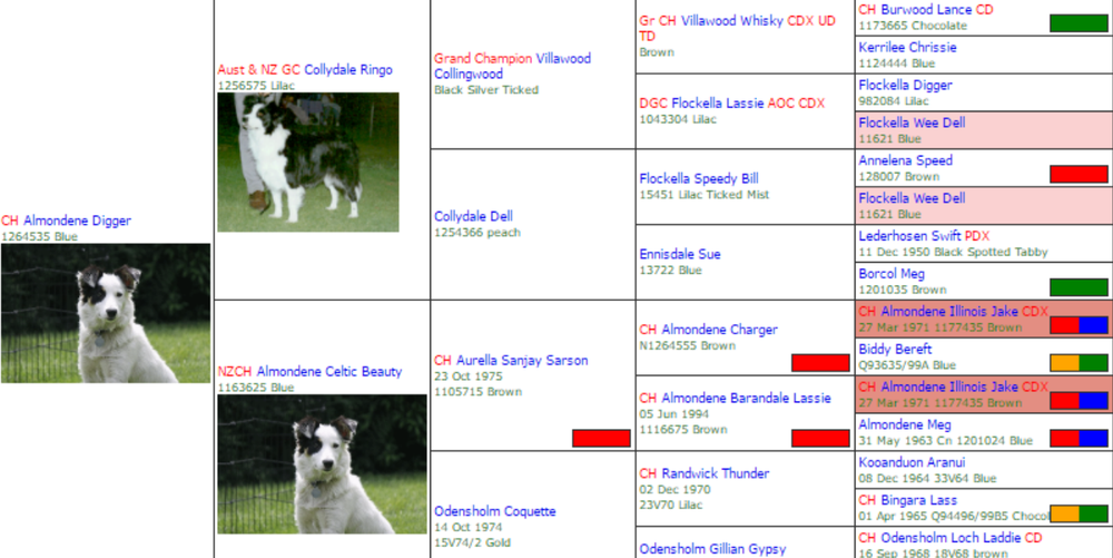 PedigreePoint Screenshot 1