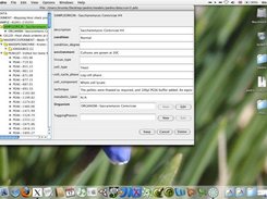 Mac OS X, note the nice Pedro icon in the dock (1.8.1)