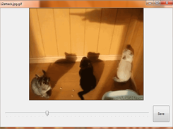GIF Frame Viewer