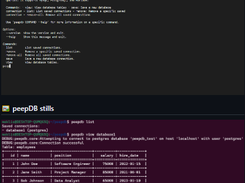 peepDB Screenshot 1