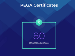 Pega Professional Services Screenshot 1