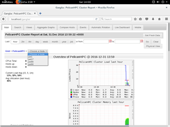 Ganglia - PelicanHPC Cluster