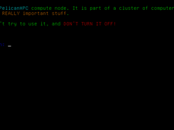 PelicanHPC Node Login