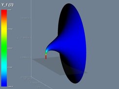 Plume evolution in a 3D view, coloring fluid mass fraction