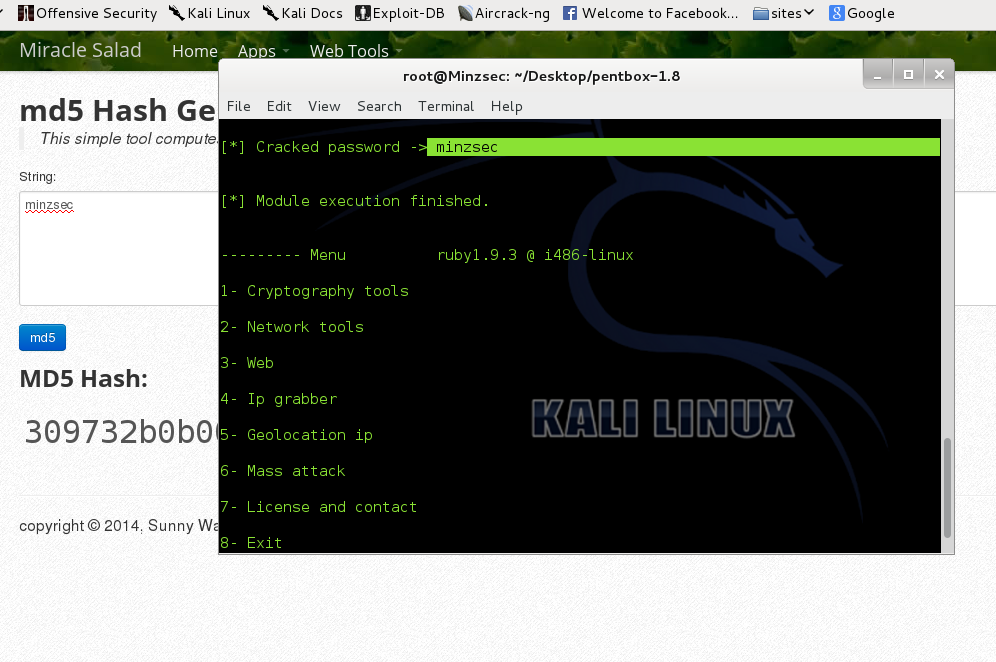 XSStrike - Hunting for low-hanging fruits in Kali Linux - GeeksforGeeks
