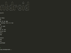 PentDroid Screenshot 3