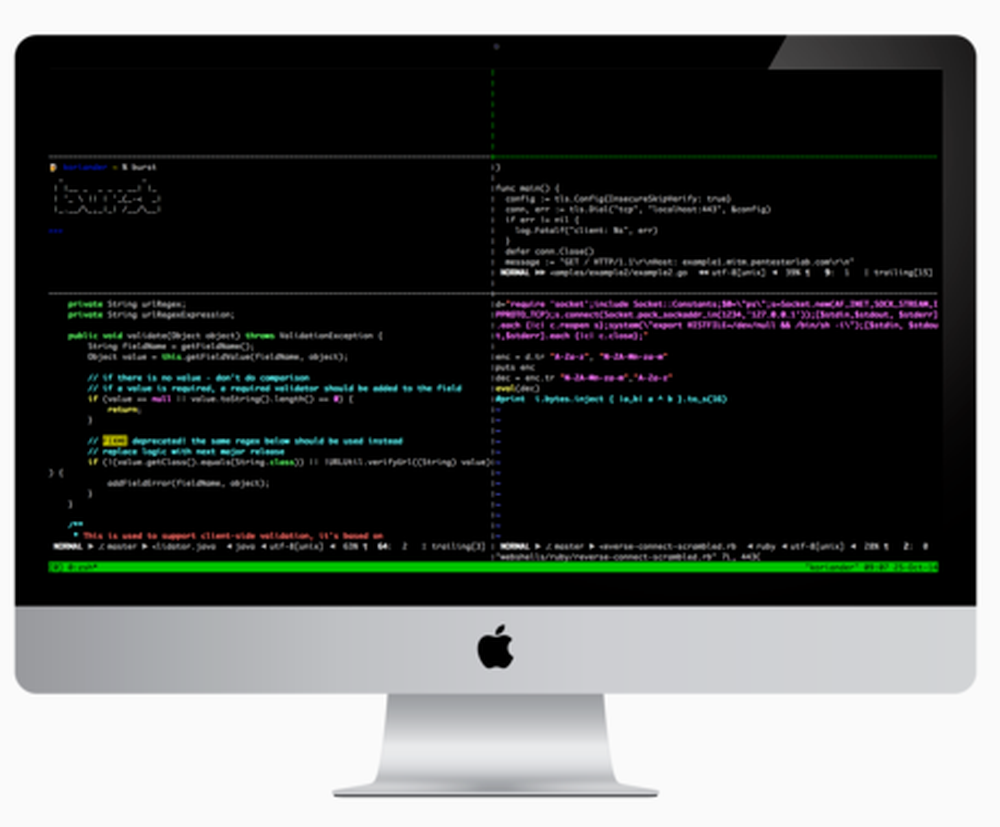 PentesterLab Screenshot 1