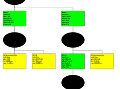 Power tree processor on