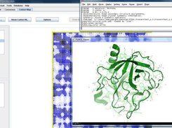 3D viewing of protein structures using PyMol in PepT-IDE.