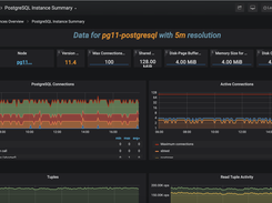 PostgreSQL Instance Summary 