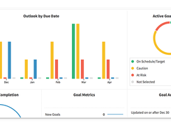 PerformanceHub-ManagementGoals