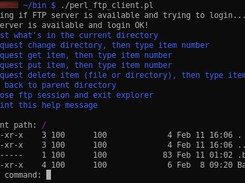 Perl FTP Client Screenshot