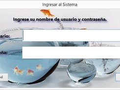 Login Screen