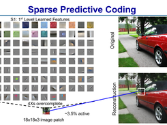 Example dictionary learned using a sparse predictive coding