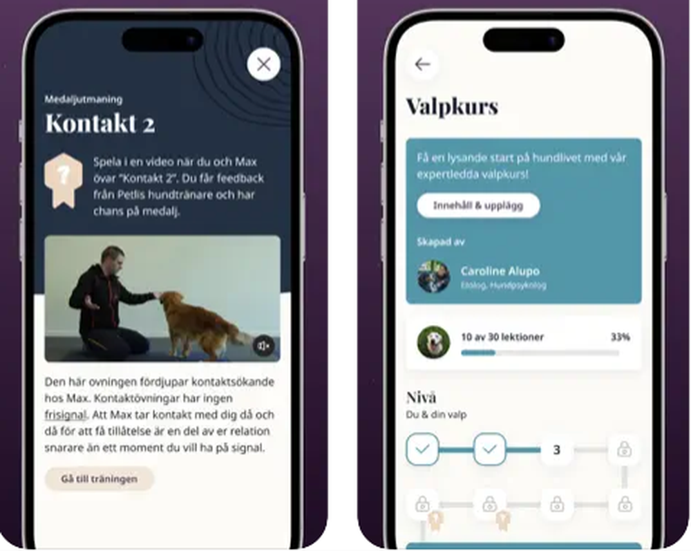 Petli Screenshot 1