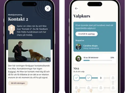 Petli Screenshot 1