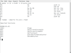 pedis disassemblying the DOS stud and readpe getting PE imports