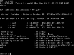 pfsense multi WAN OVB Appliance Screenshot 1