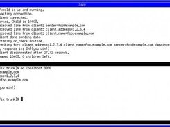 Typical pfxpold development session using two command lines.