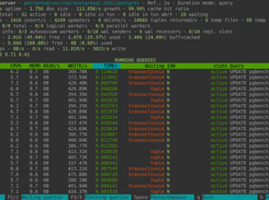 pg_activity Screenshot 1