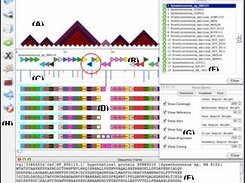 IGBM: Identification of Gene Blocks in Microorganisms