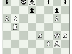 pgn4web puzzler