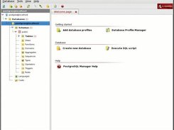 PostgreSQL Manager