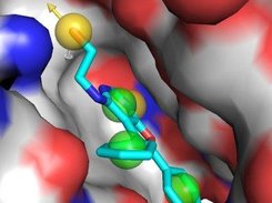 load_query pymol visualization of pharmer query