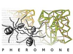 PHEROMONE logo.