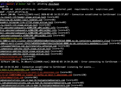 Phishing Catcher Screenshot 2
