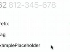 PhoneNumberKit Screenshot 2