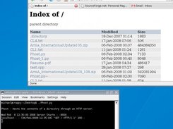 Script running and browser showing shared location (1.1)