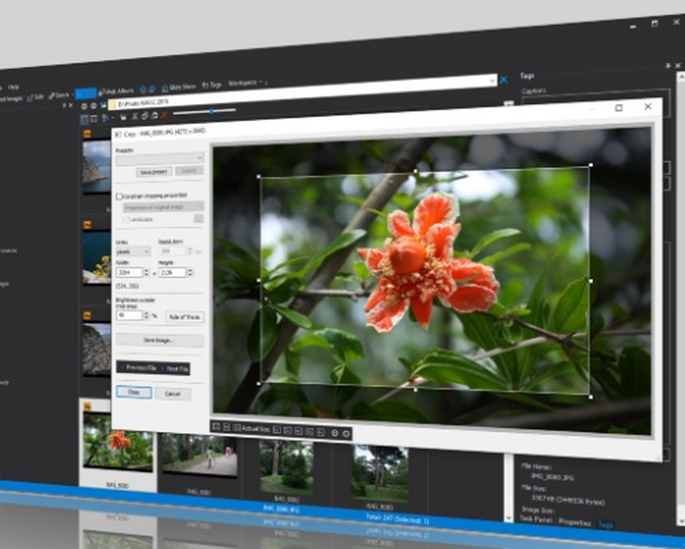 Photo Manager Pro Screenshot 1