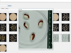 Photo Measure (Seeds Feature Extraction) Screenshot 2