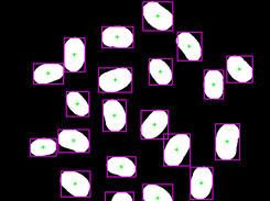 Photo Measure (Seeds Feature Extraction) Screenshot 3