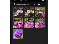 PhotoPrism Screenshot 1